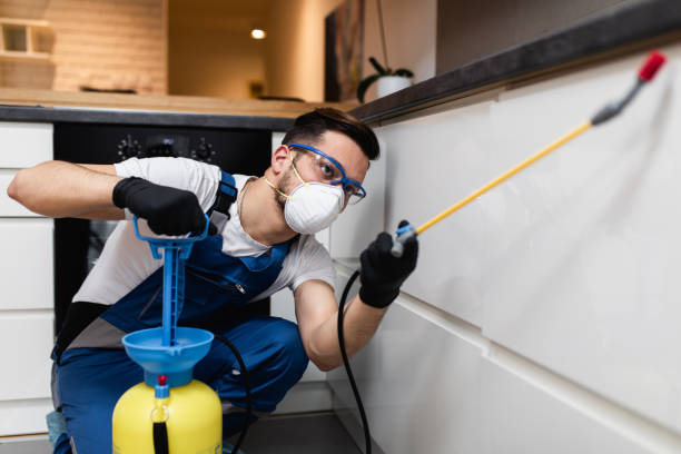 Best Wasp Removal Services  in Graysville, TN