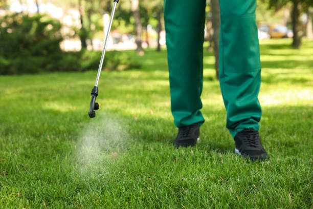 Best Pest Control for Businesses  in Graysville, TN