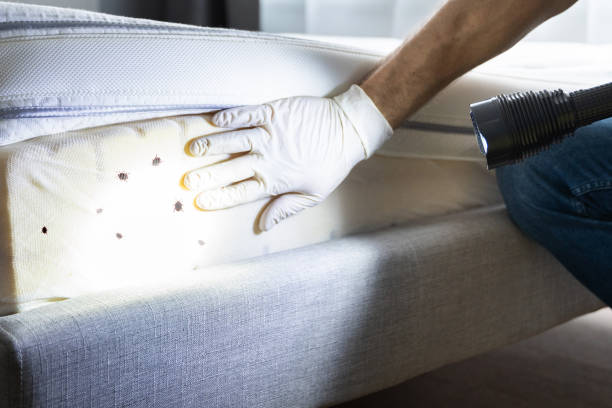 Best Best Pest Control Companies  in Graysville, TN