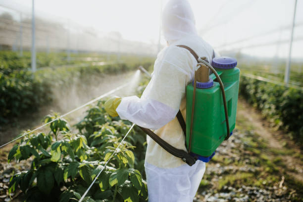 Professional Pest Control in Graysville, TN